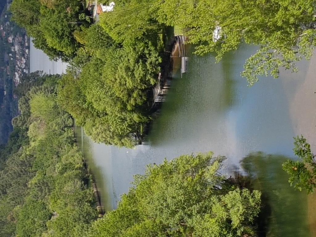 Quinta Da Ventuzela Hotell Cinfães Exteriör bild