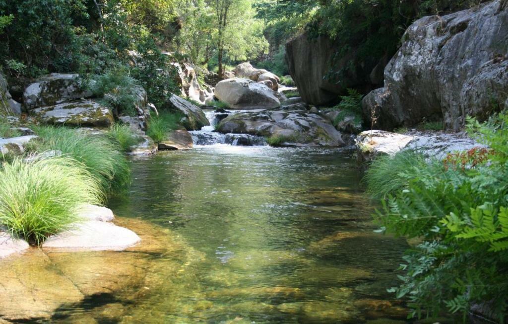 Quinta Da Ventuzela Hotell Cinfães Exteriör bild